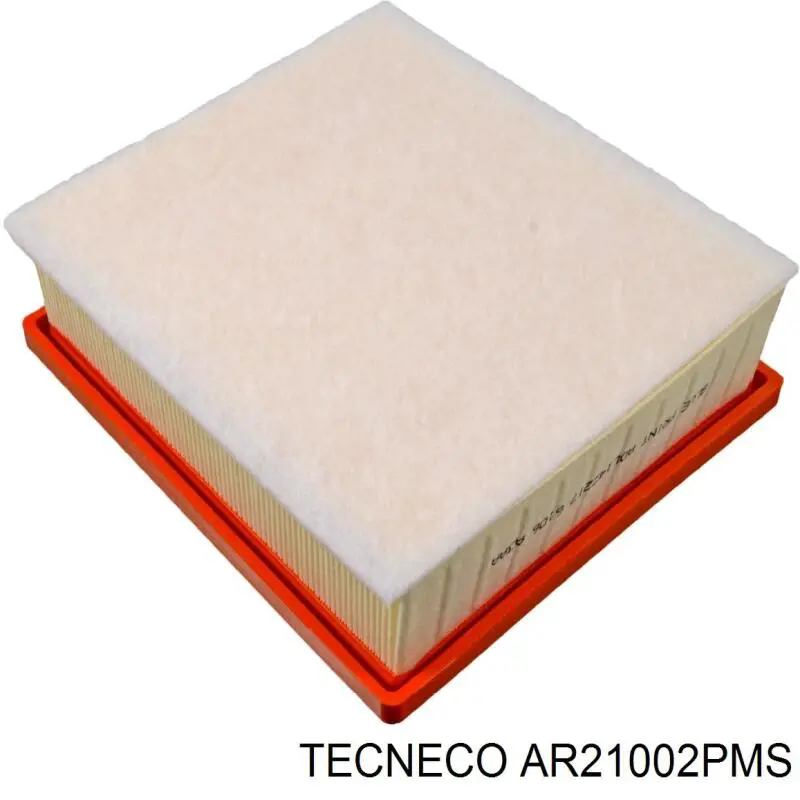 AR21002PMS Tecneco Повітряний фільтр двигуна