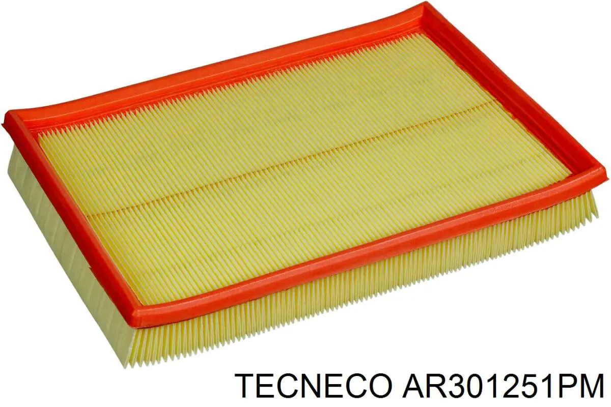 AR301251PM Tecneco фільтр повітряний