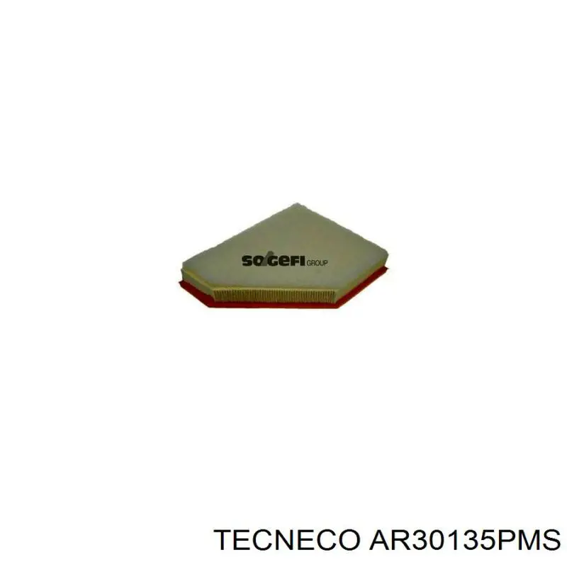 Елемент повітряного фільтра Tecneco AR30135PMS ціна, від 21.45 USD