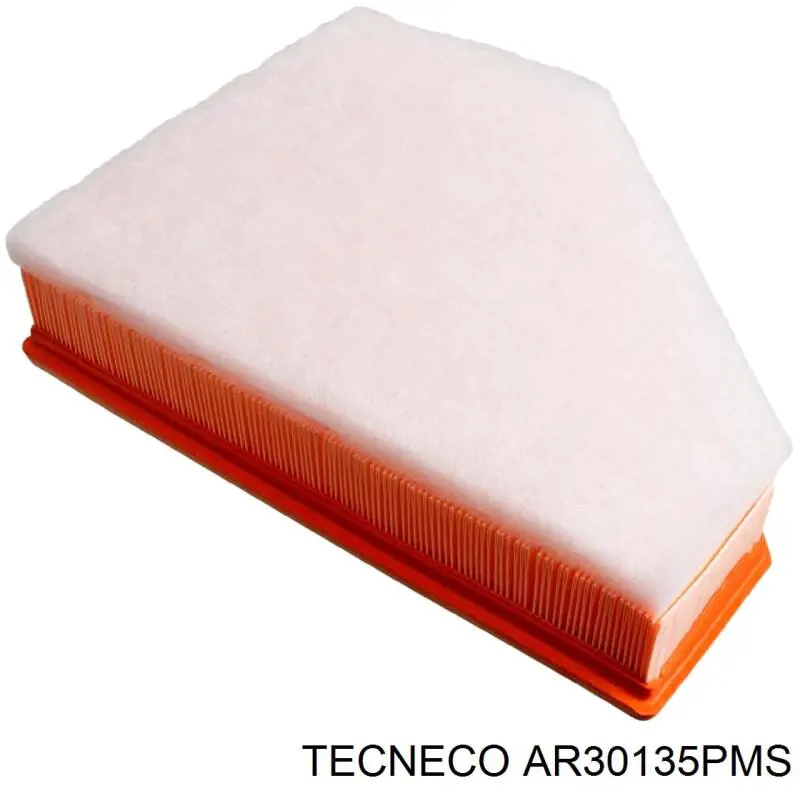 AR30135PMS Tecneco Повітряний фільтр двигуна