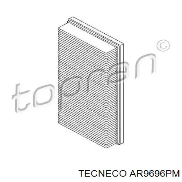Елемент повітряного фільтра Tecneco AR9696PM ціна, від 5.93 USD