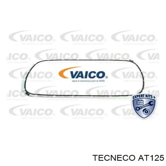AT125 Tecneco Масло в коробку автомат