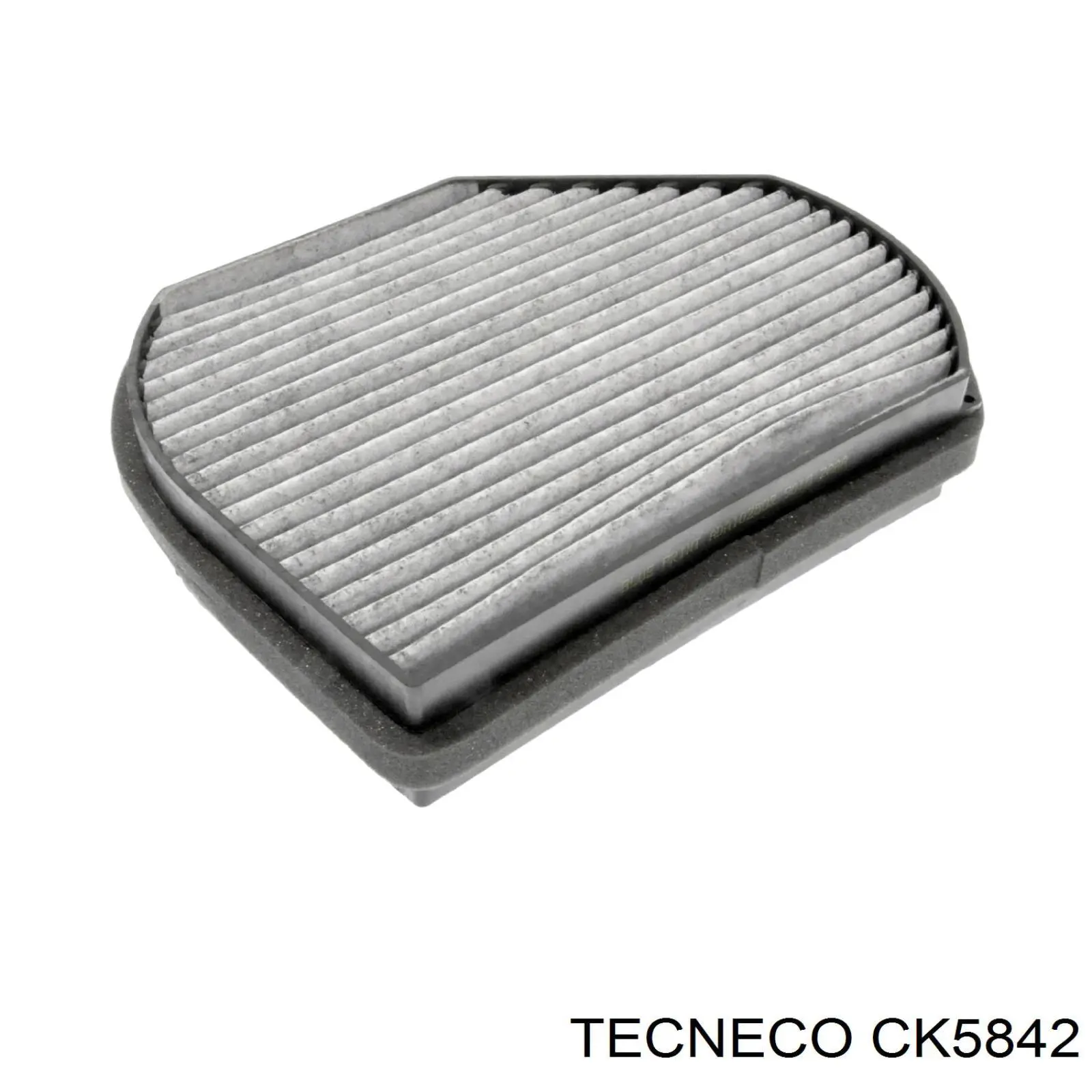 Купити CK5842 Tecneco Фільтр салону вугільний