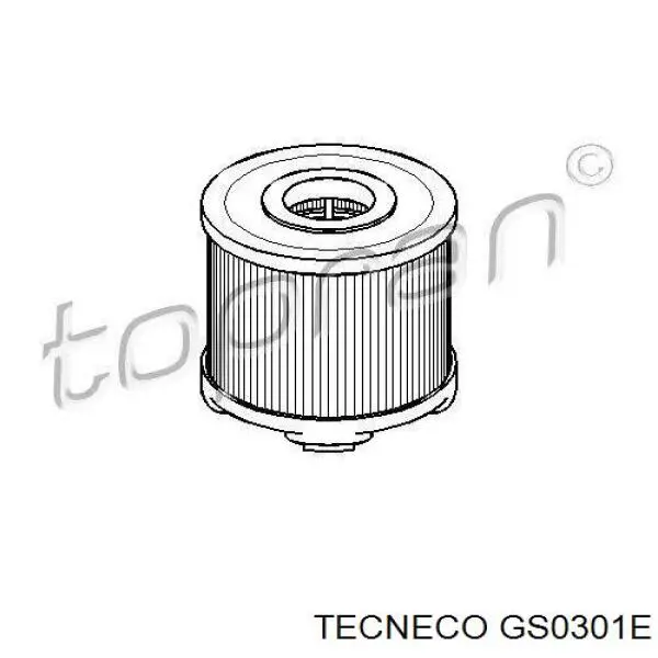 Паливний фільтр GS0301E Tecneco