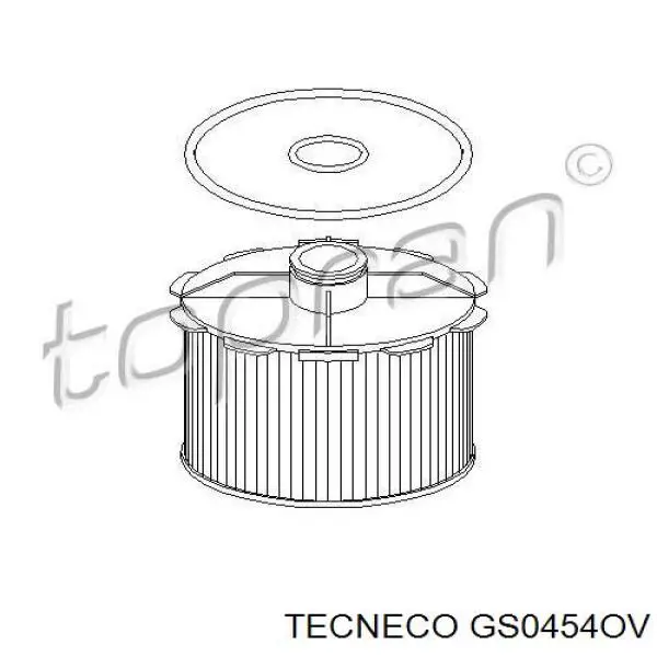 Паливний фільтр GS0454OV Tecneco