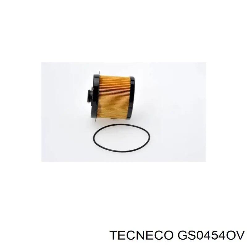 Фільтр паливний Tecneco GS0454OV