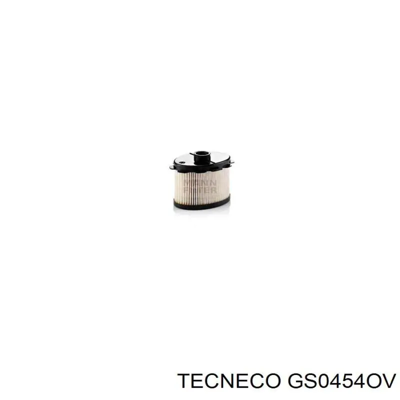 GS0454OV Tecneco Фільтр палива