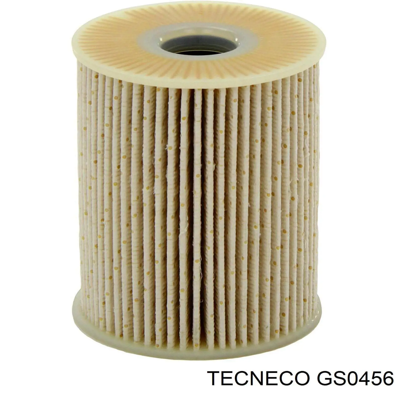 Фільтр паливний Tecneco GS0456