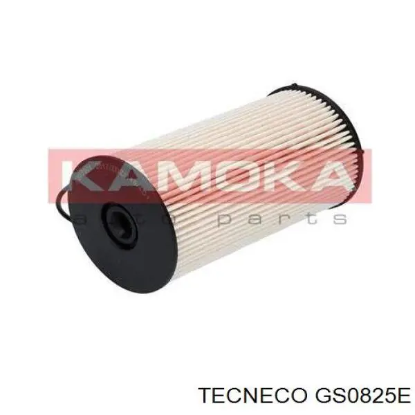 Паливний фільтр GS0825E Tecneco