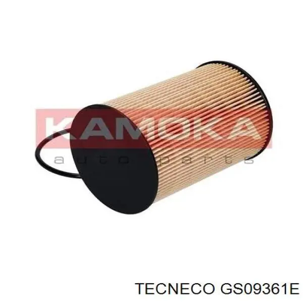 Паливний фільтр GS09361E Tecneco