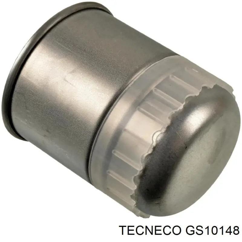GS10148 Tecneco Фільтр палива