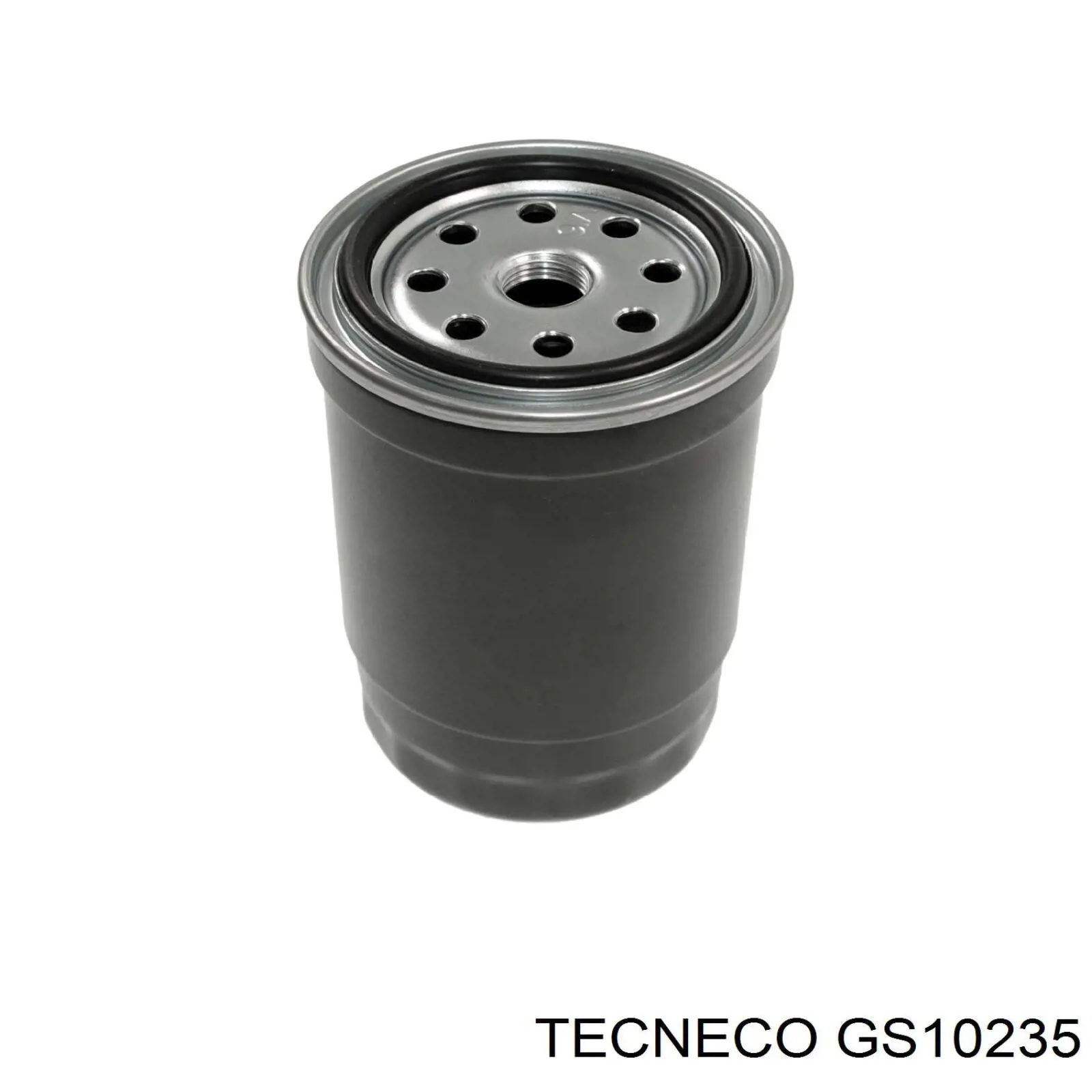 GS10235 Tecneco фільтр паливний