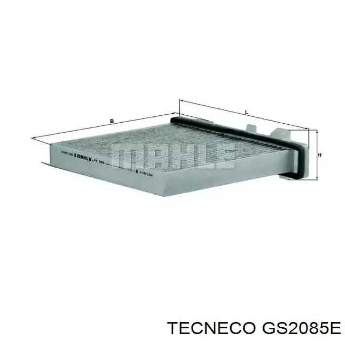 Фільтр паливний GS2085E Tecneco