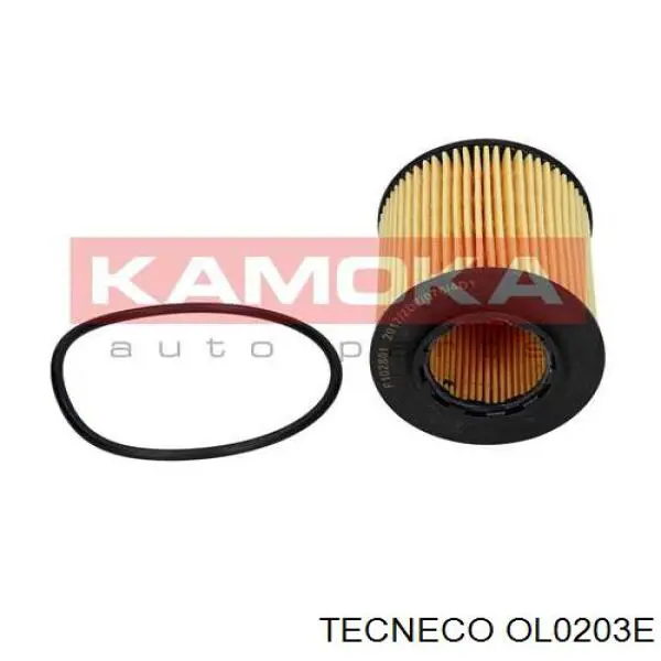 Фільтр масляний Tecneco OL0203E