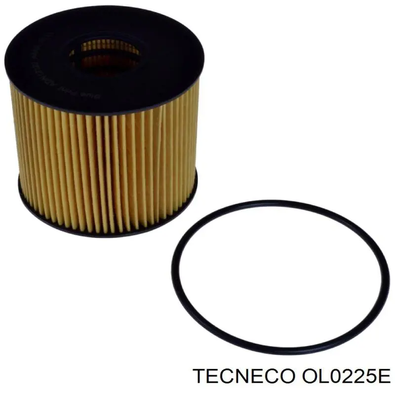 OL0225E Tecneco фільтр масляний