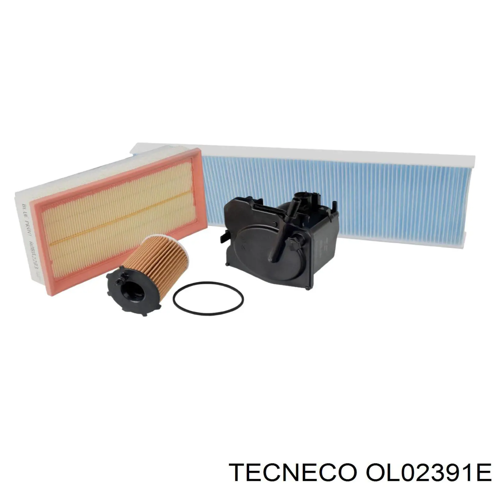 Масляний фільтр OL02391E Tecneco