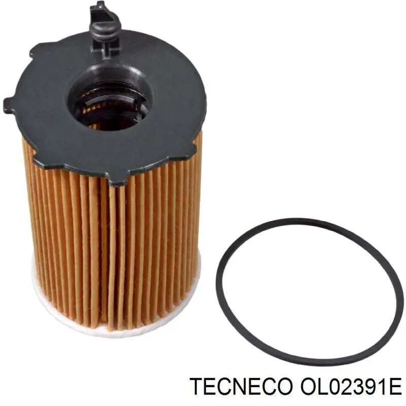 Купити OL02391E Tecneco Фільтр очищення масла відцентровий