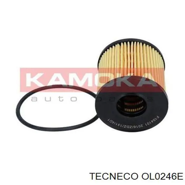 Масляний фільтр OL0246E Tecneco