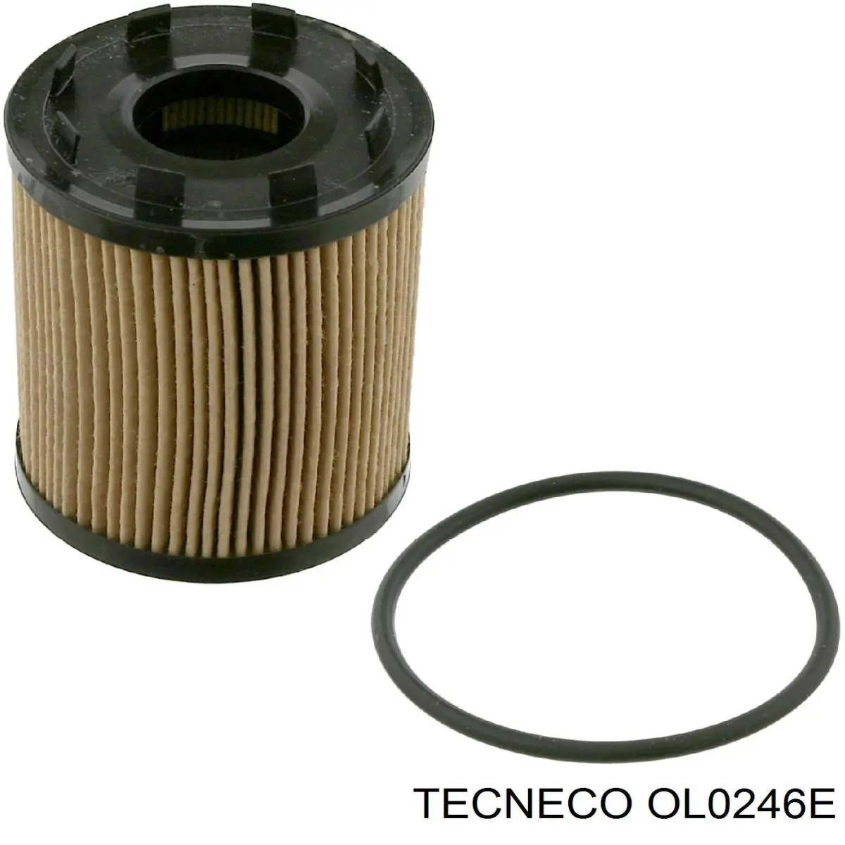 OL0246E Tecneco фільтр масляний