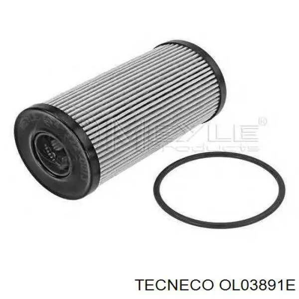 Масляний фільтр OL03891E Tecneco