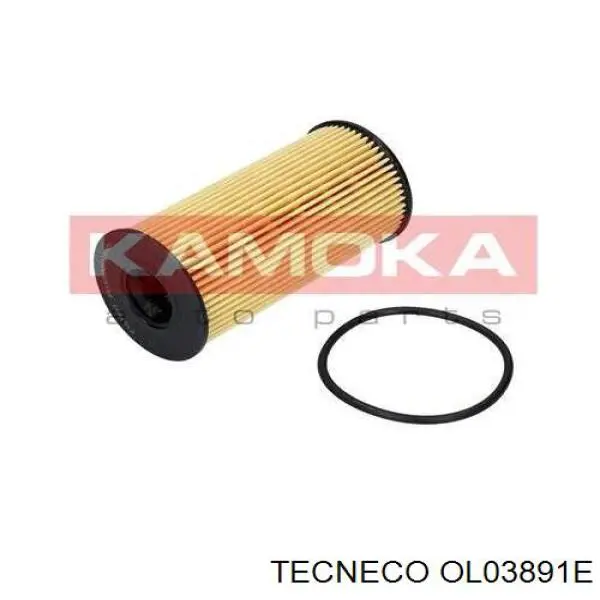 Фільтр масляний OL03891E Tecneco