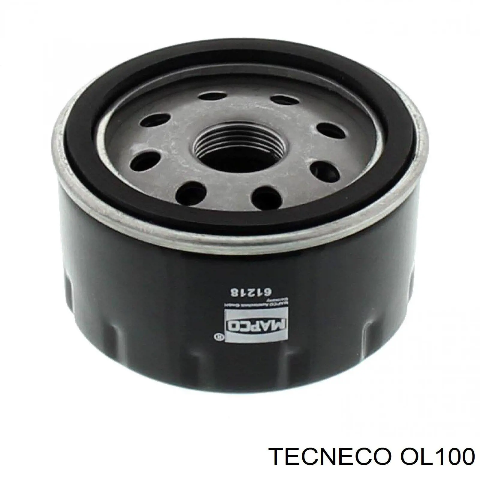 Фільтр масляний Tecneco OL100