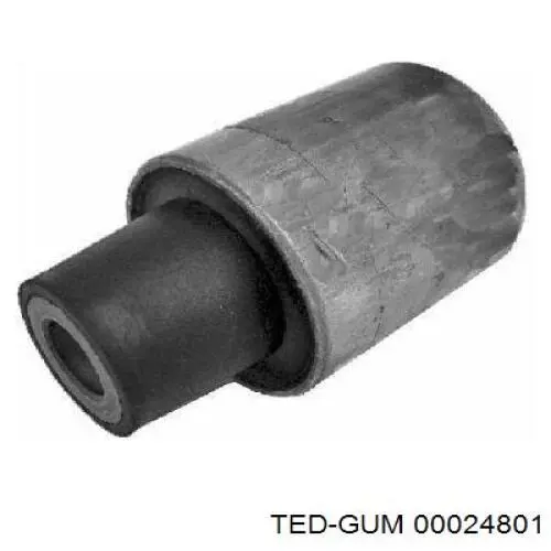 00024801 Ted-gum важіль задньої підвіски нижній, лівий/правий