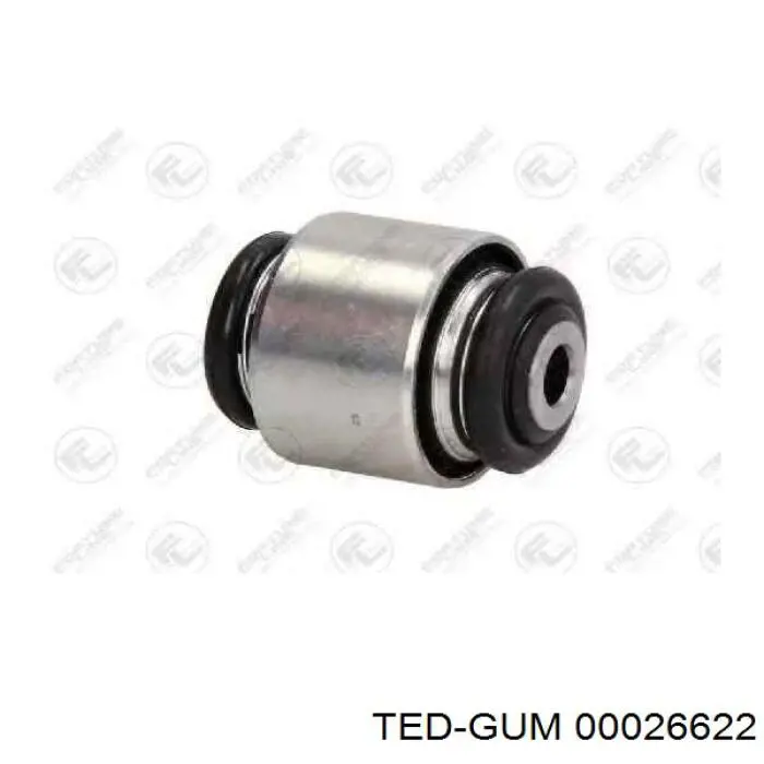 00026622 Ted-gum 