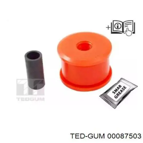 00087503 Ted-gum 