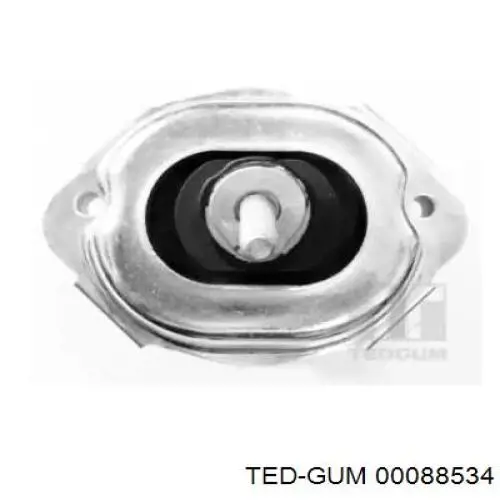  Ted-gum 88534 ціна, від 48.48 USD