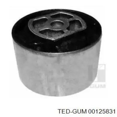 Купити 00125831 Ted-gum Задня опора двигуна