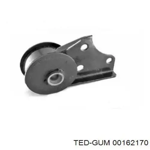 00162170 Ted-gum 