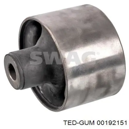  00192151 Ted-gum