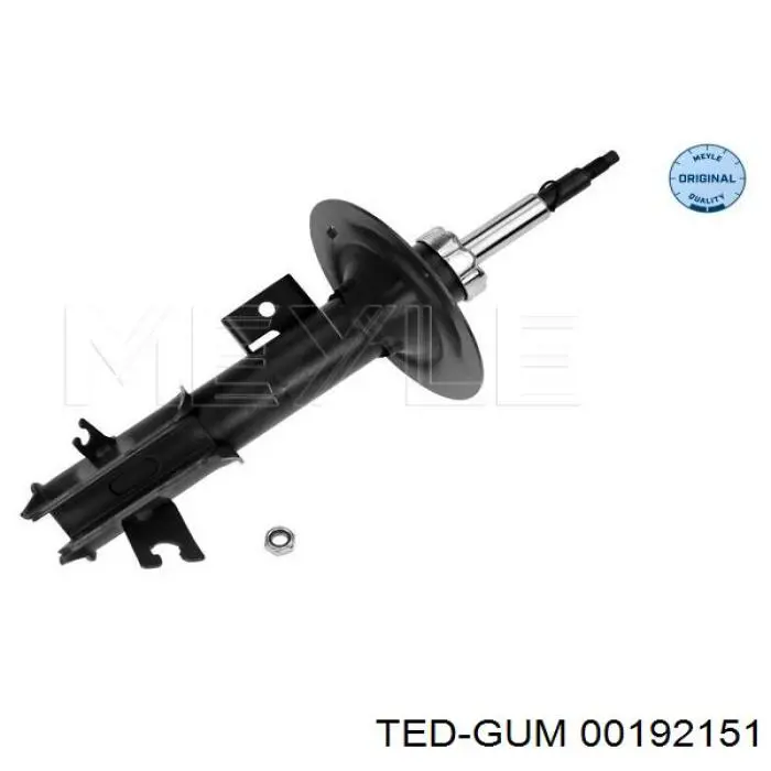 Купити 00192151 Ted-gum 