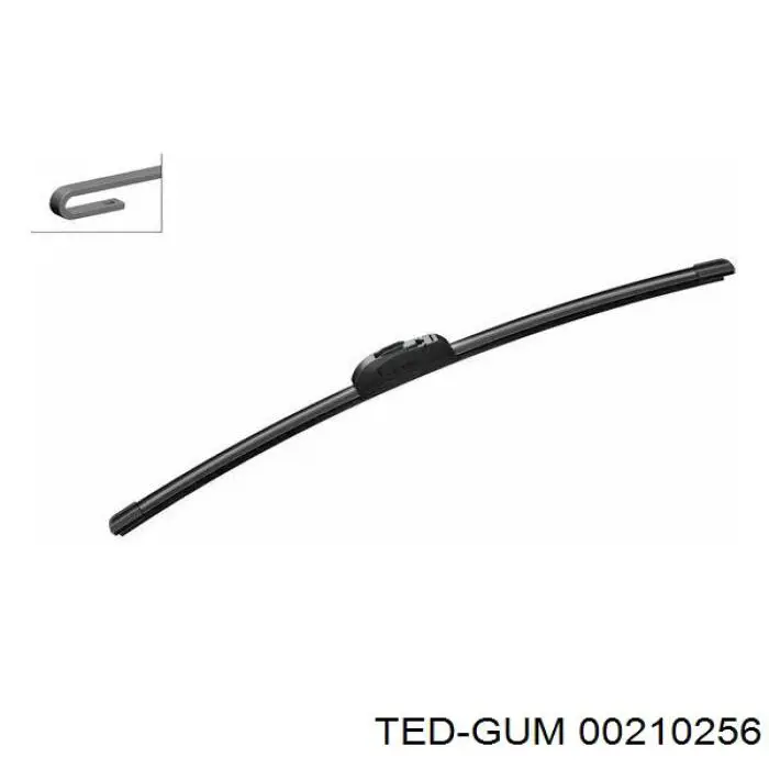 00210256 Ted-gum 