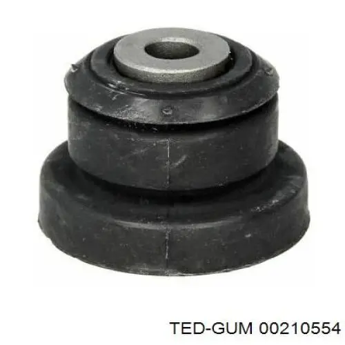  00210554 Ted-gum