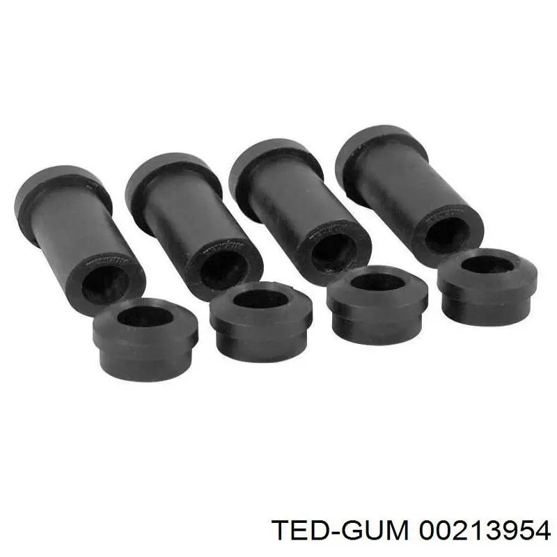  00213954 Ted-gum