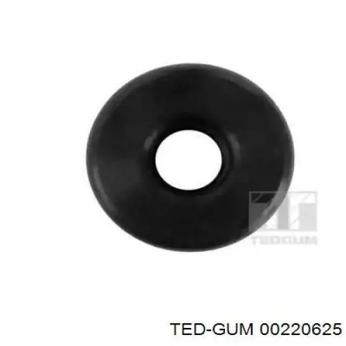  00220625 Ted-gum