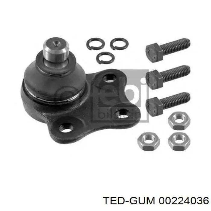 Купити 00224036 Ted-gum Сайлентблок заднього поперечного важеля