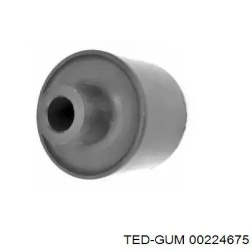 00224675 Ted-gum сайлентблок переднього нижнього важеля