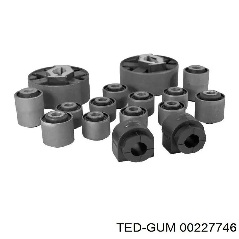  00227746 Ted-gum