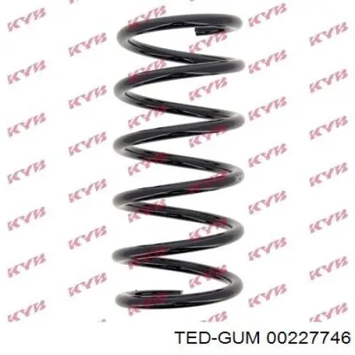  00227746 Ted-gum