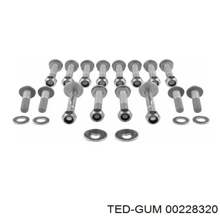 00228320 Ted-gum болт