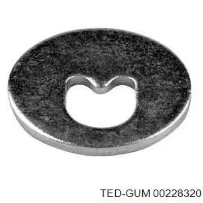 Купити 00228320 Ted-gum Болт кріплення заднього нижнього важеля, внутрішній