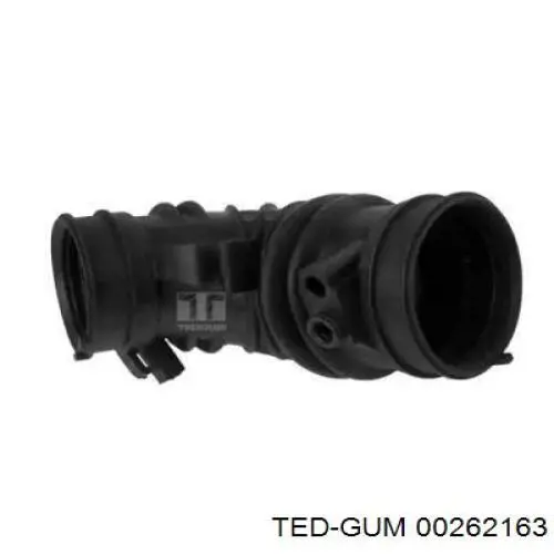 Купити 00262163 Ted-gum Патрубок повітряний, вихід повітряного фільтра