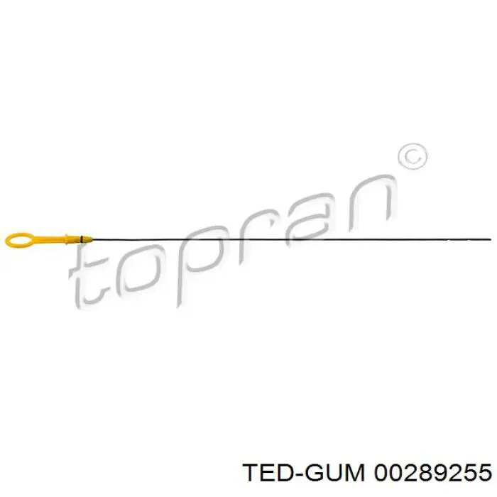 00289255 Ted-gum Буфер заднього амортизатора