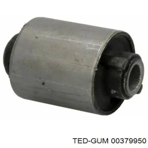  00379950 Ted-gum