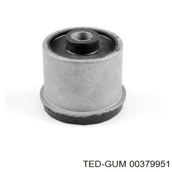  00379951 Ted-gum