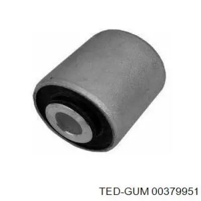  00379951 Ted-gum