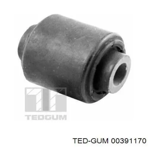  00391170 Ted-gum